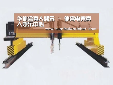 产品名称十八