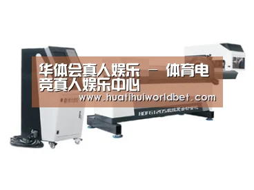 案例展示三
